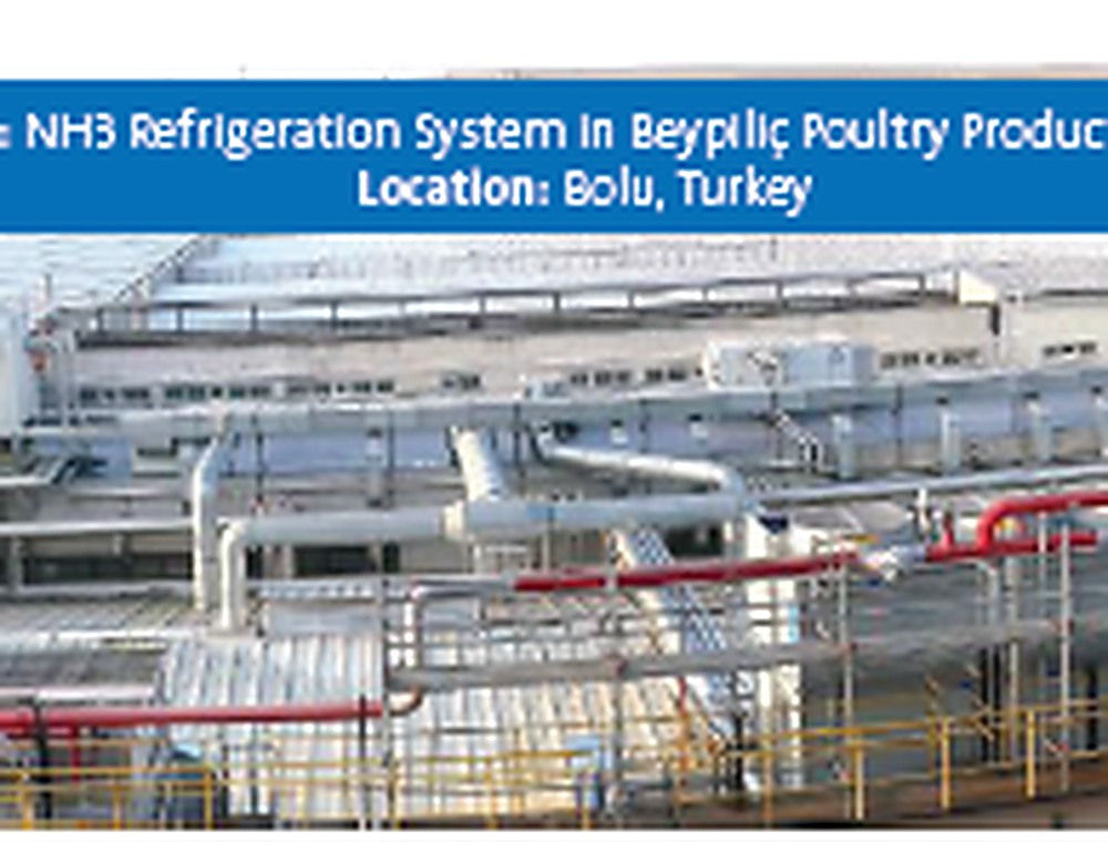 BEYPİLİÇ POULTRY SLAUGHTERHOUSE